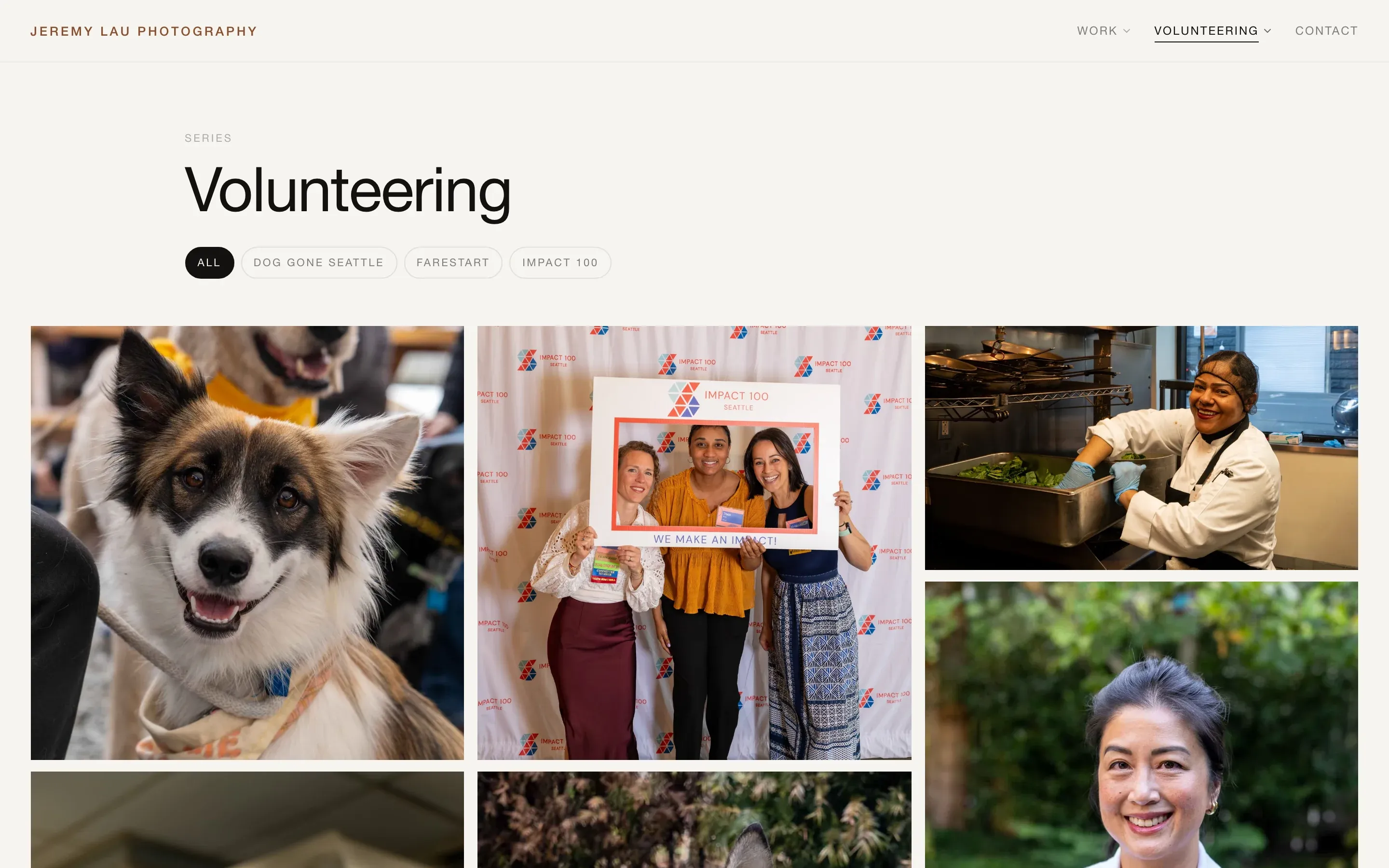 The volunteering gallery, with photos of rescue dogs, event guests and kitchen staff.